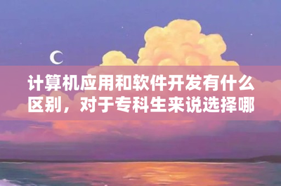 計(jì)算機(jī)軟件開發(fā)與應(yīng)用 專科生的職業(yè)選擇與發(fā)展前景分析